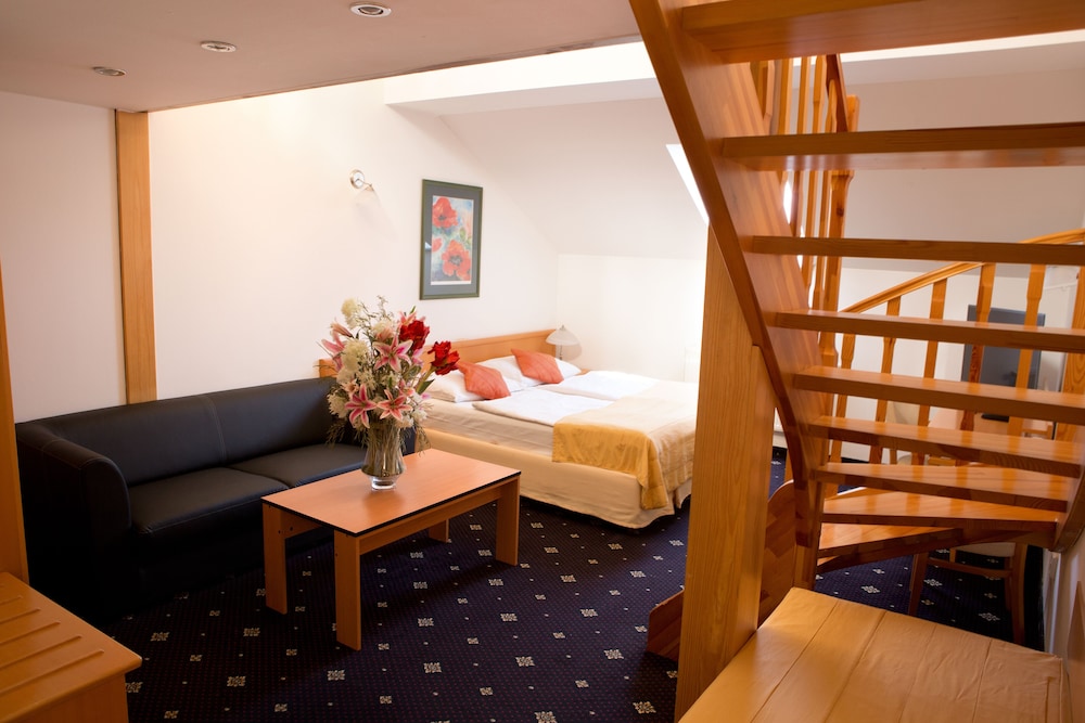 Hotel Machova 28/50