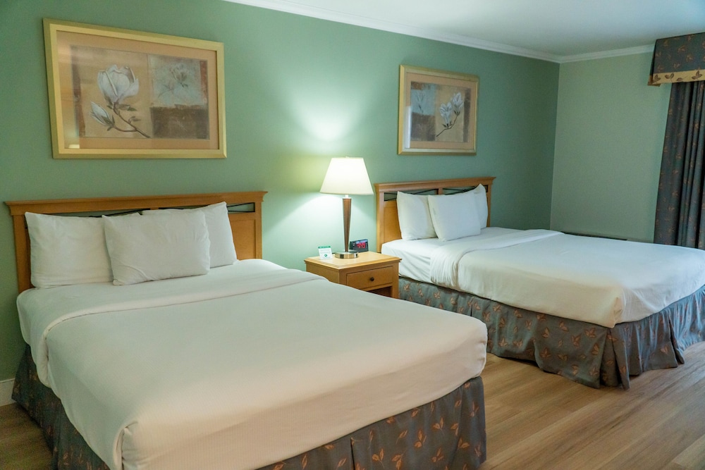 Hotel Piccadilly 10/65