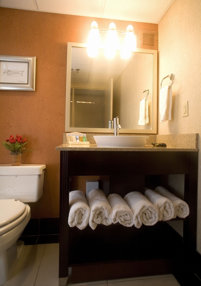 Doubletree Hotel Springfield 42/79