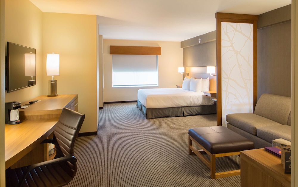 ROOM, KING BED, SOFA, ACCESSIBLE