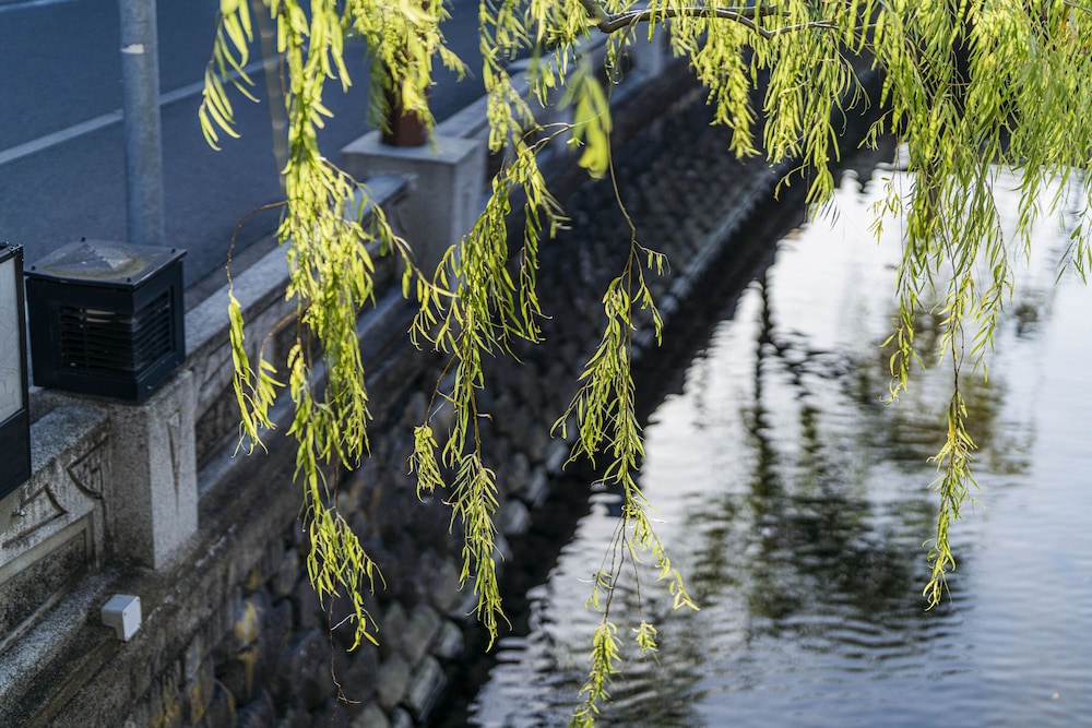 Shinzan Kinosaki 47/51