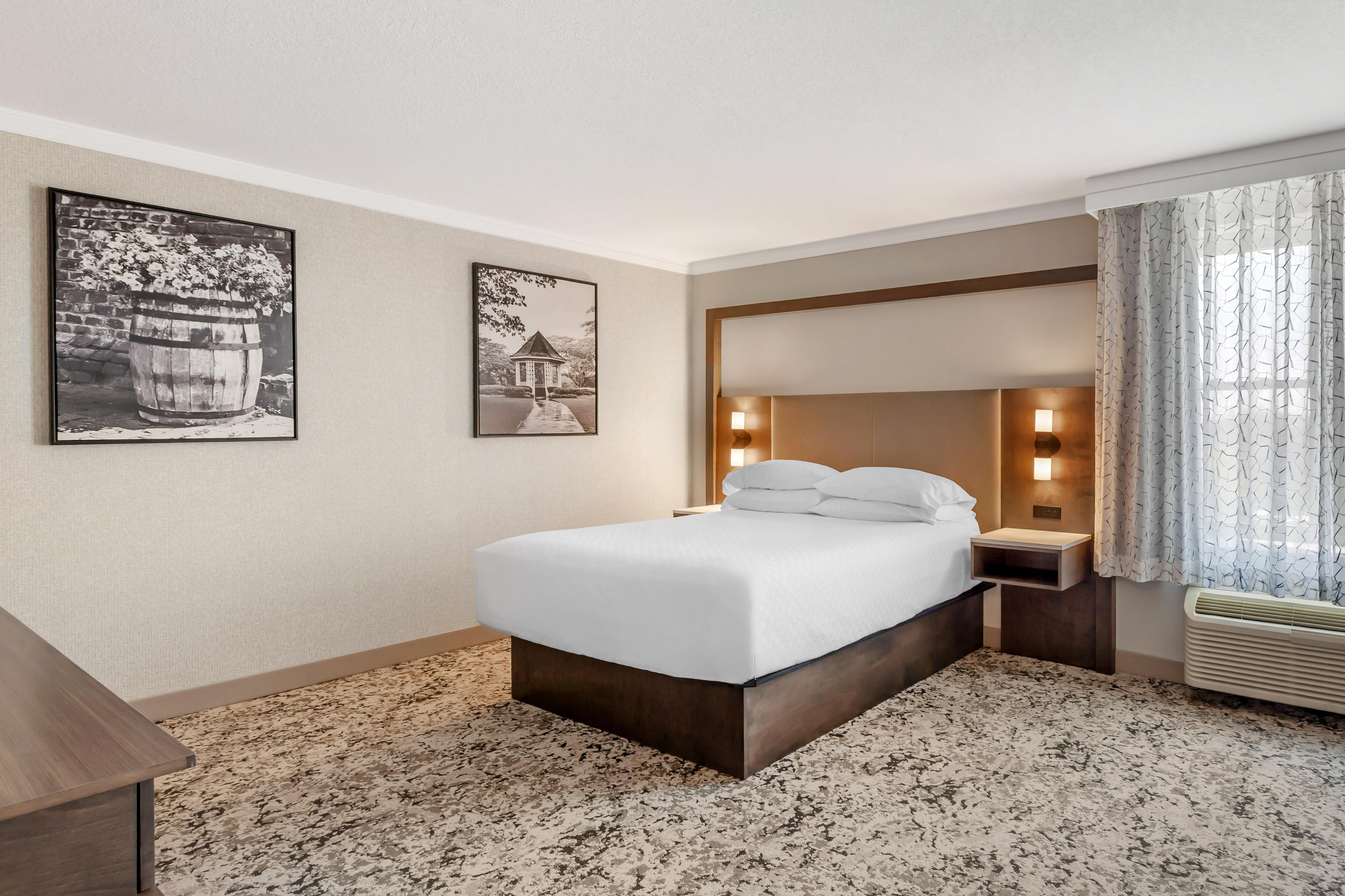 Suite, Queen Bed