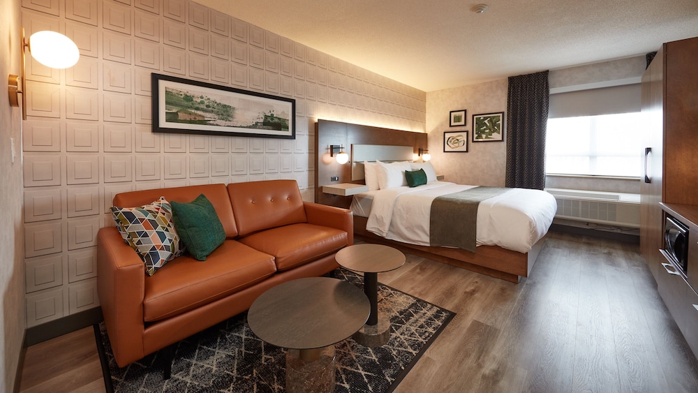 Stay Inn 39/66