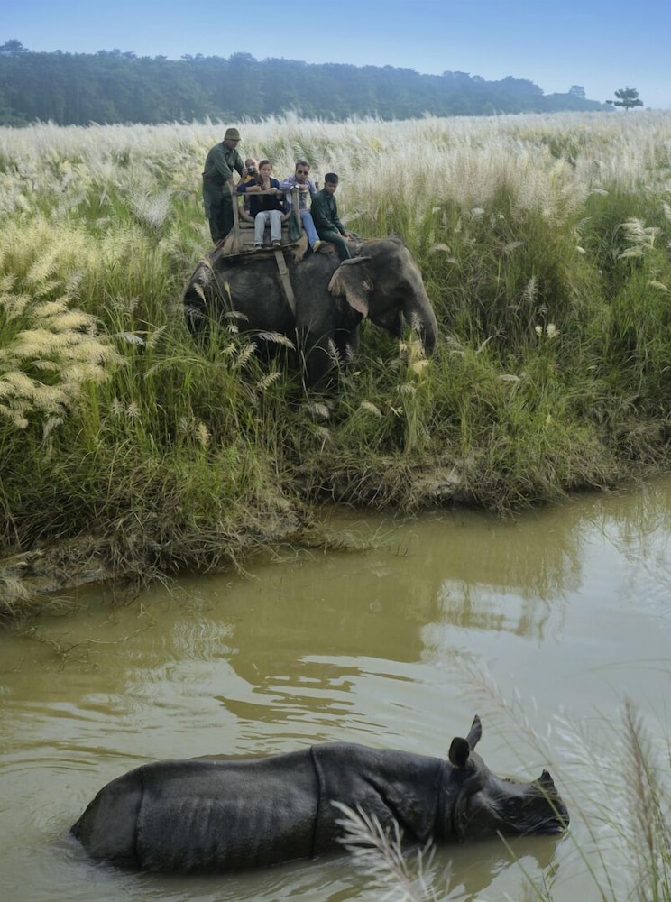 BARAHI JUNGLE LODGE 44/50