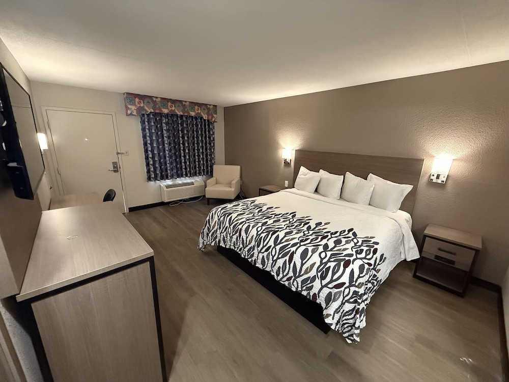 NON-SMOKING DELUXE 1 KING BED, MICRO-FRIDGE
