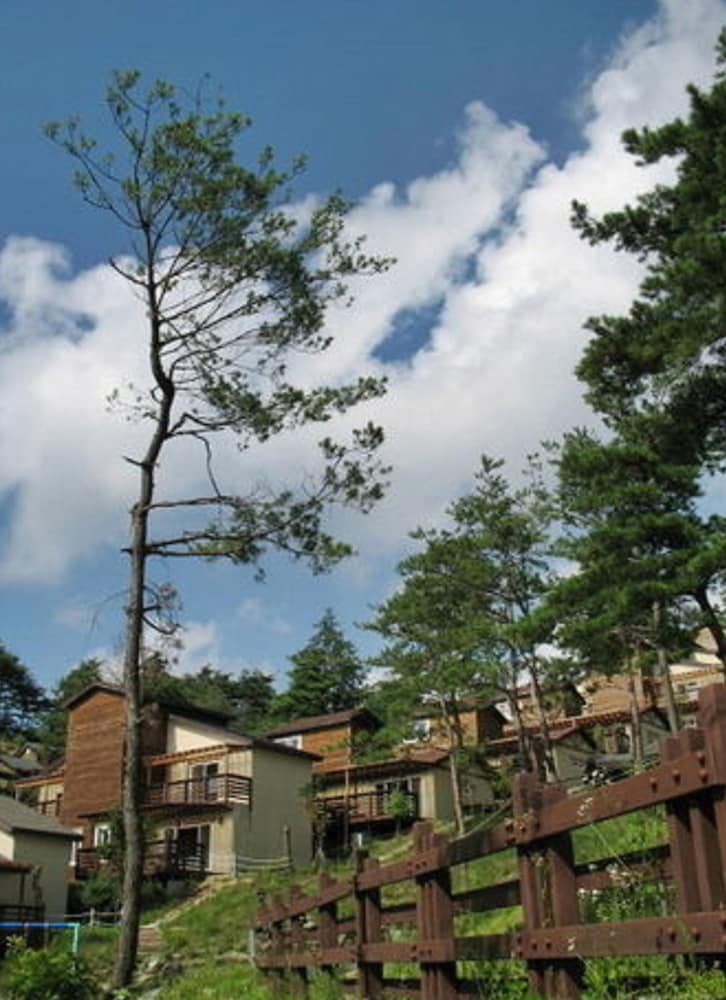 Hyundai Soo Resort Hoengseong 36/50