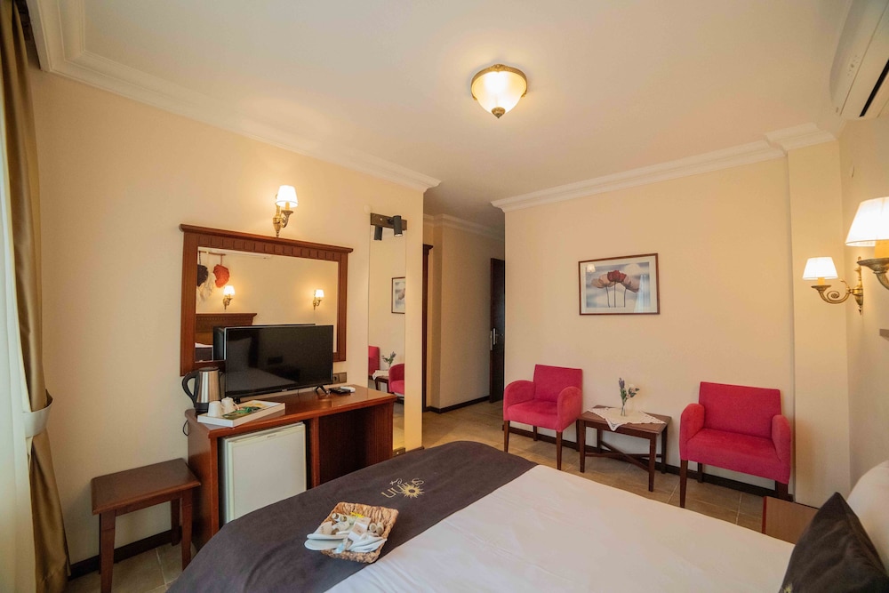 Hotel Alya 31/50