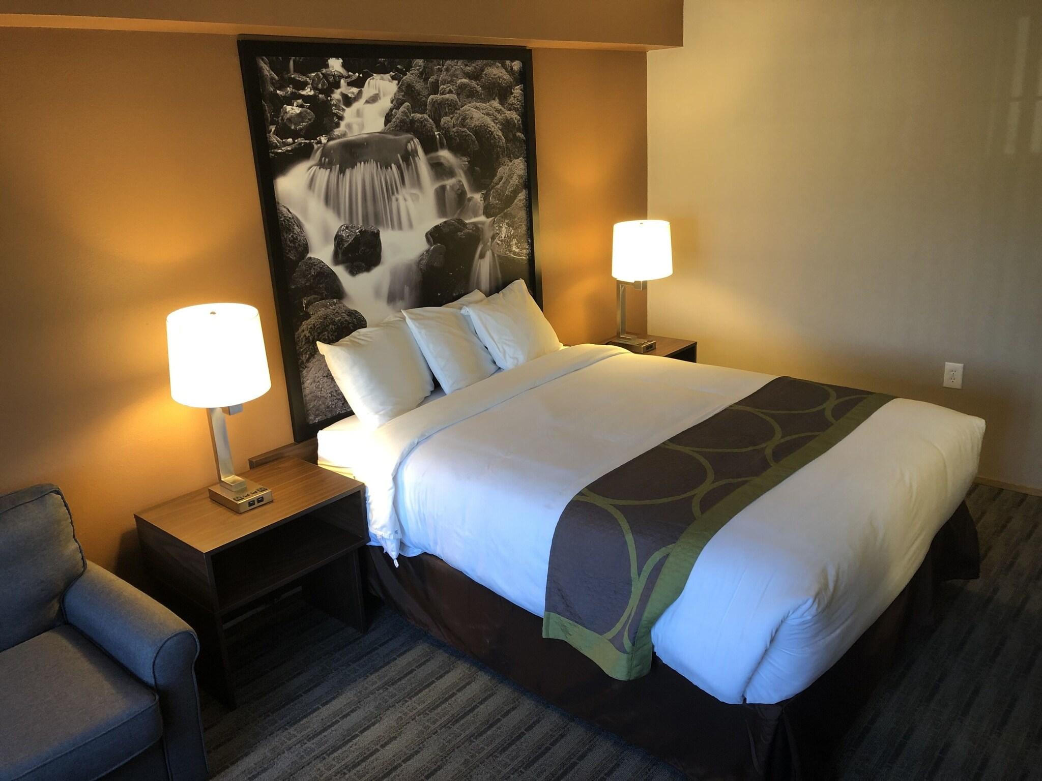 Super 8 By Wyndham Lynnwood 11/17