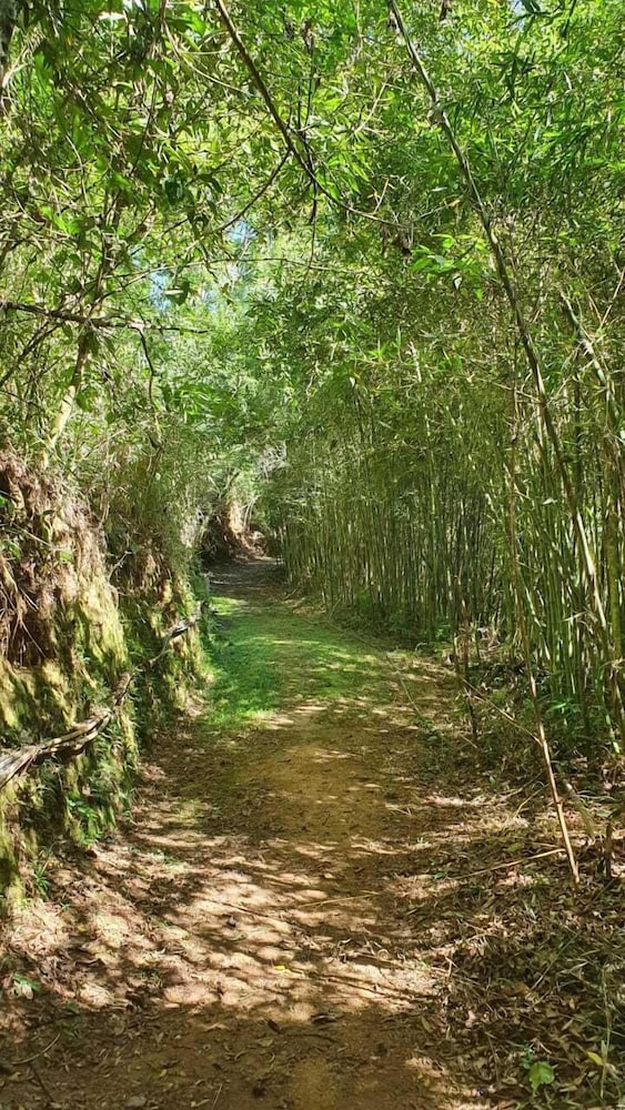 Quinta da Paz Resort 37/50