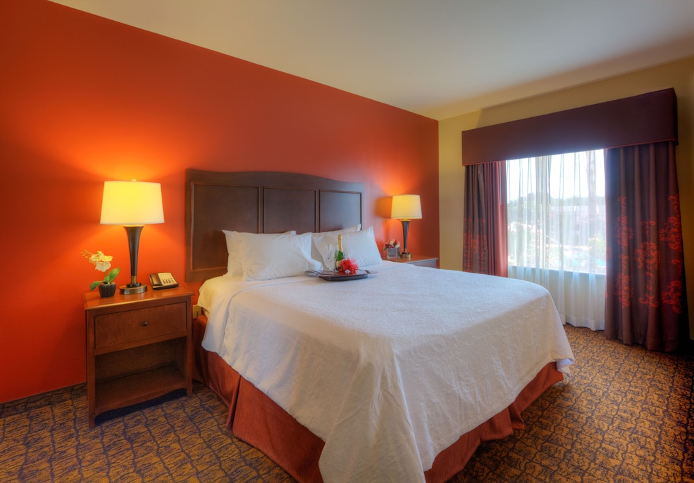 Hampton Inn Suites Mcallen 18/52