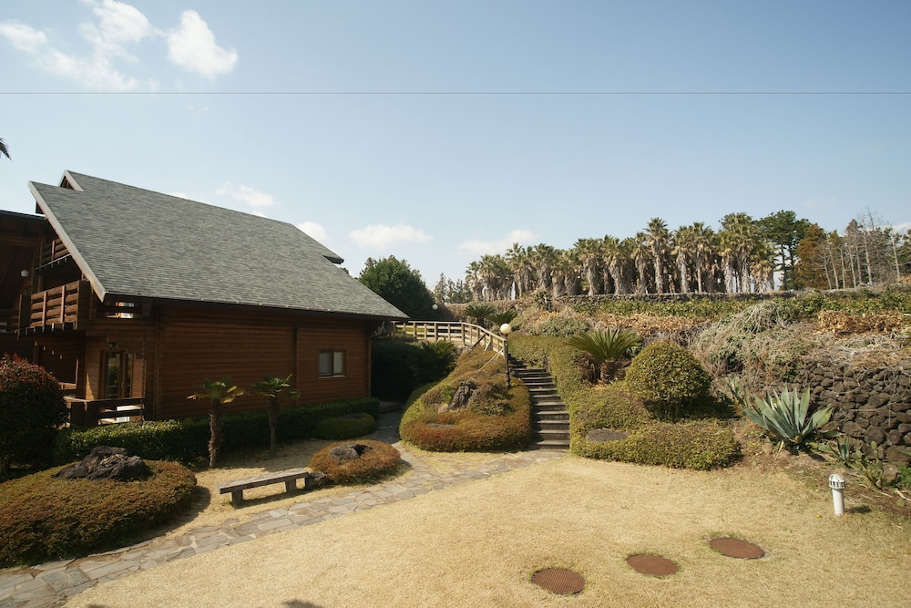 Sunnyday Jeju 11/49