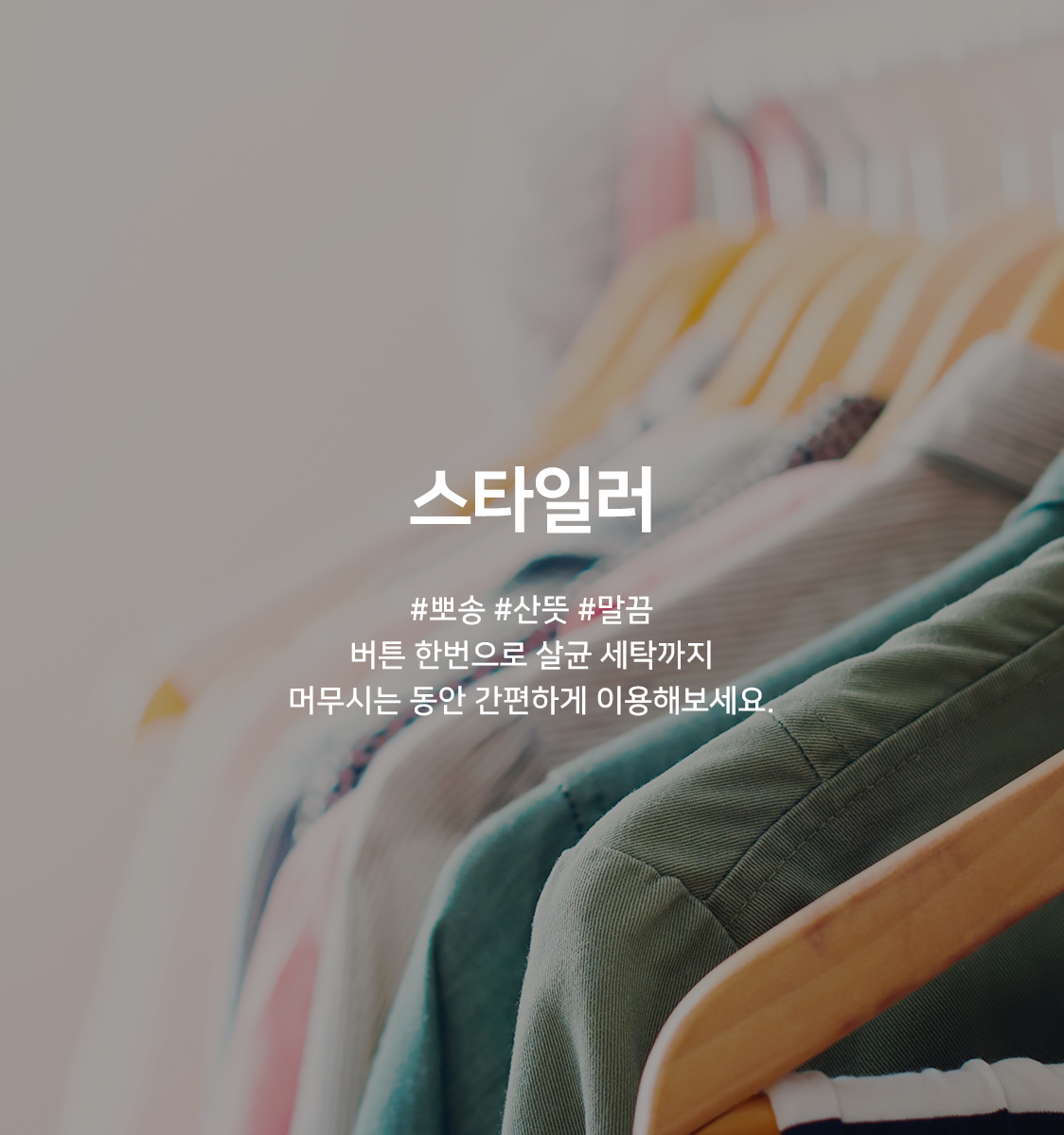Special, Style, King Bed