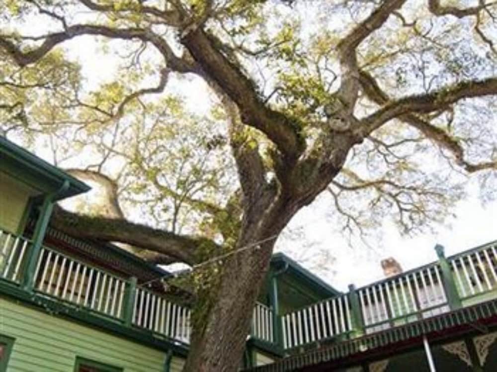 Florida House Inn 55/55
