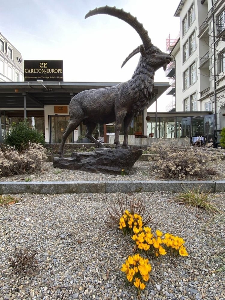 Carlton-Europe Vintage Adult Hotel 50/56