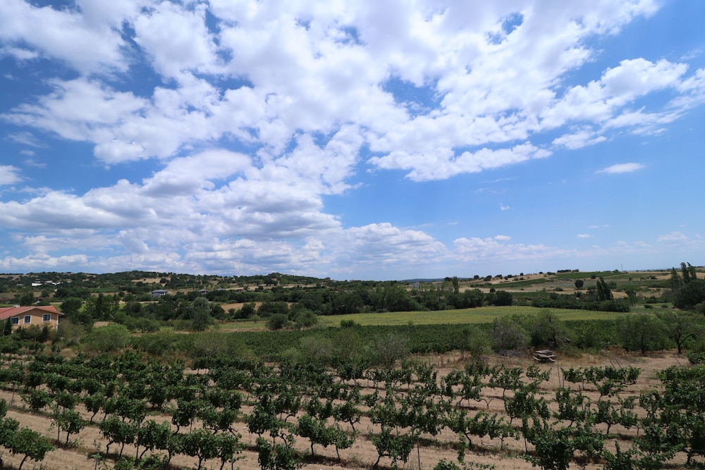 Dessera Vineyards Hotel 29/40