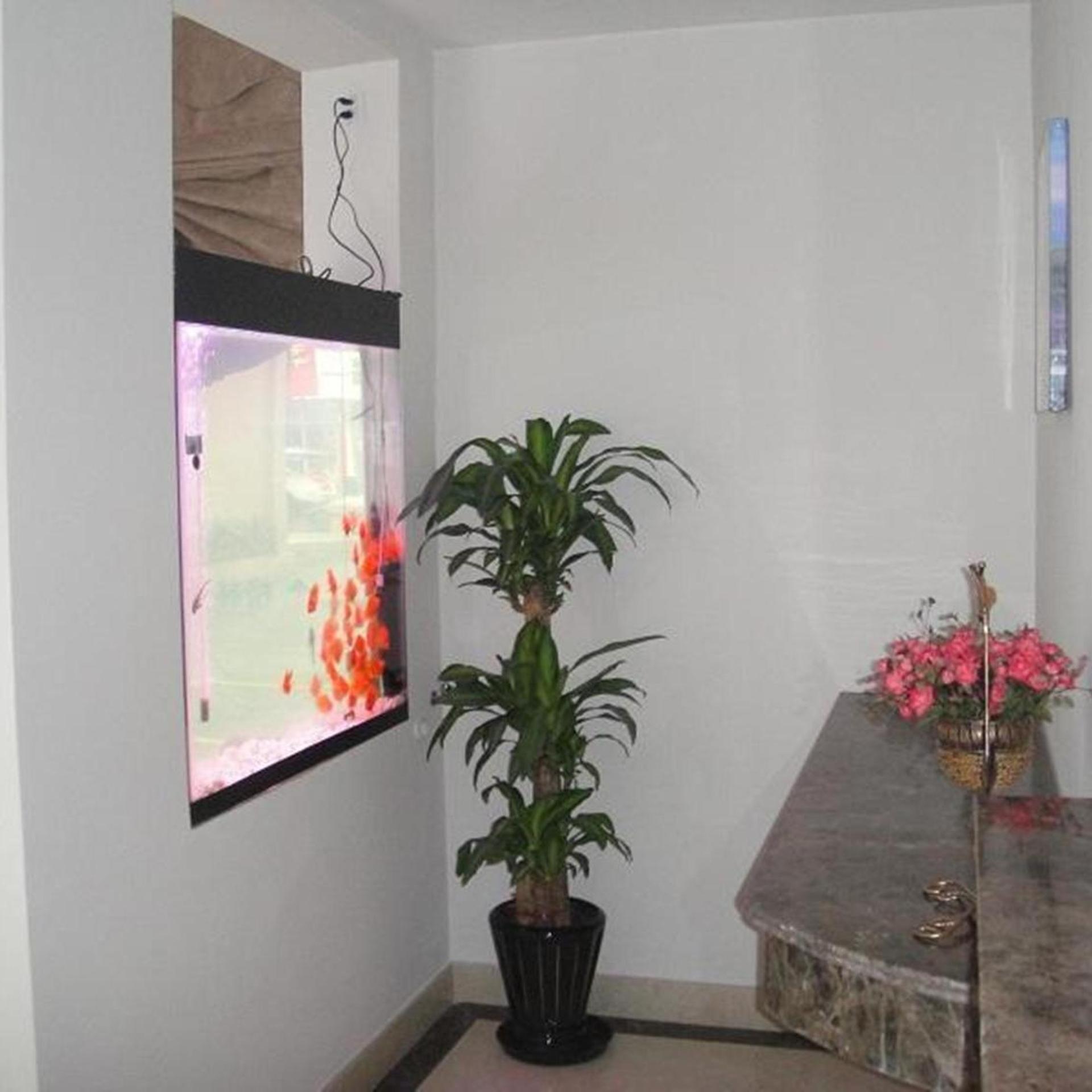 Greentree Inn Jiangsu Nanjing Olympic Sports Center Express Hotel Nanjing (Jiangsu)