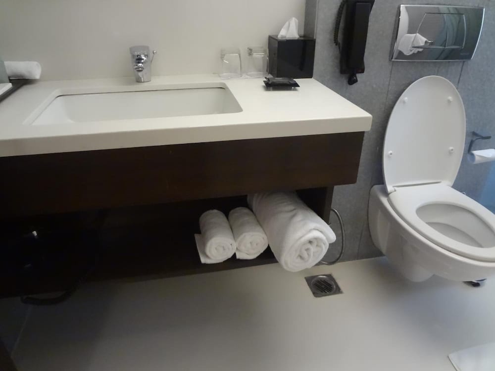 Svenska Design Hotel Mumbai 14/37