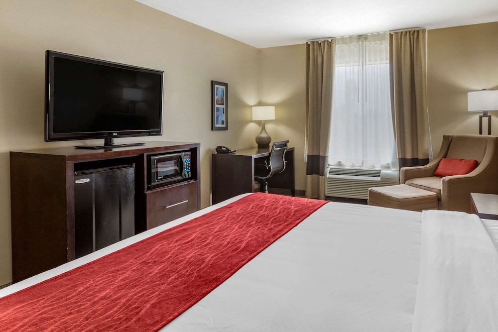 Comfort Inn Suites Fm1960 Champions 19/55
