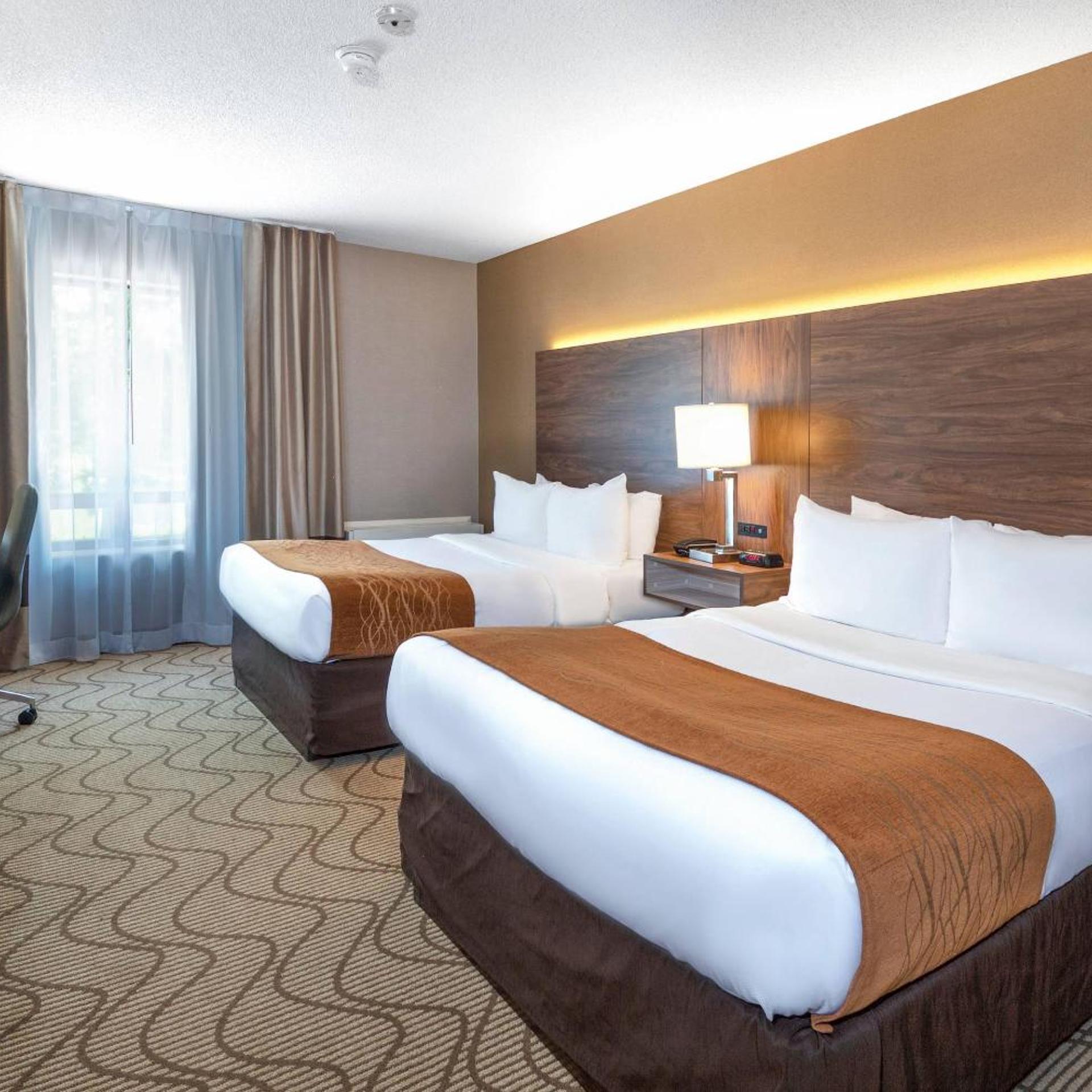 Room, 2 Double Beds, High Floor