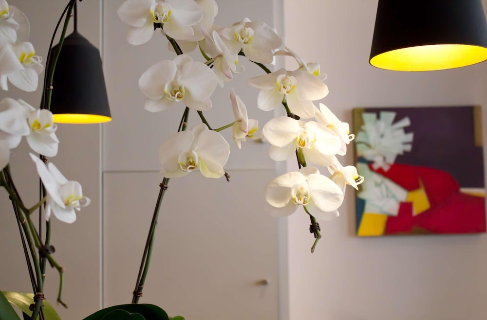Hotel Jardin De Cluny 36/42