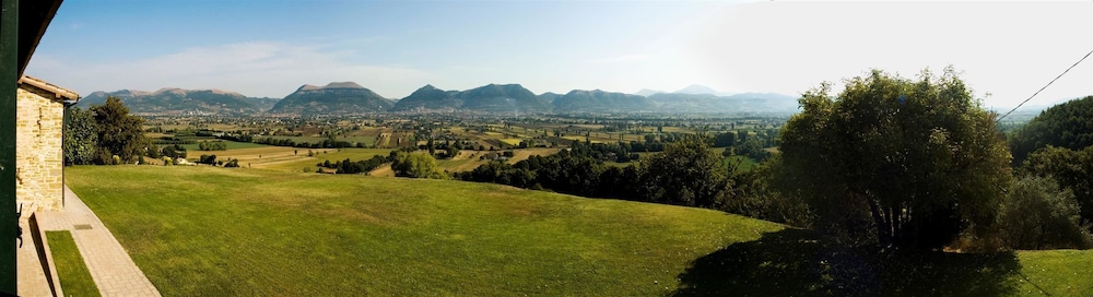 Azienda Agraria Montelujano 28/35