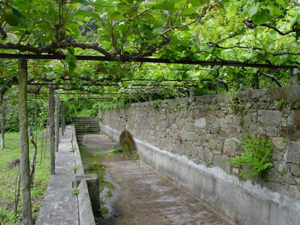 surroundings