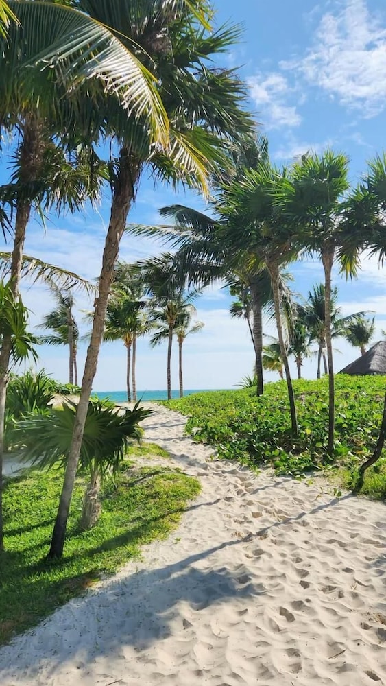 Ana y Jose Holbox Hotel - Optional All Inclusive 60/63