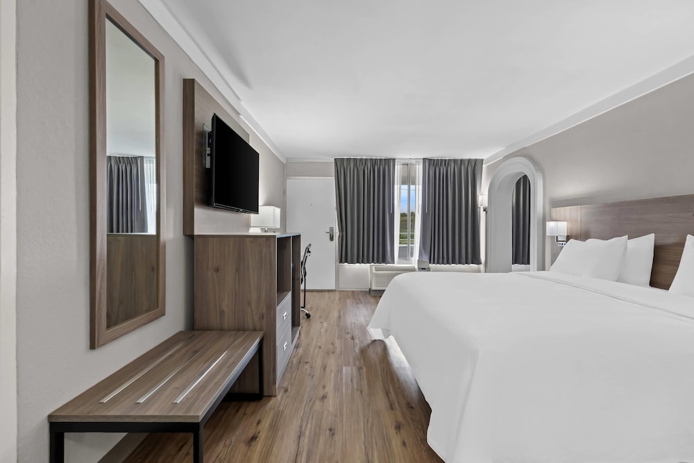 SUITE, KING BED