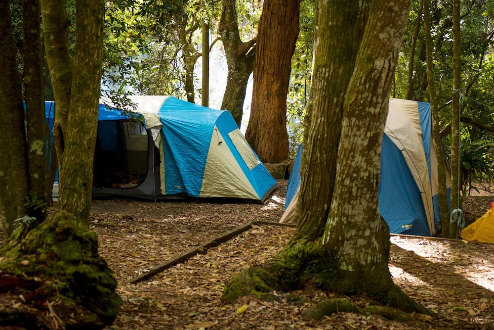 BINNA BURRA MOUNTAIN LODGE 27/50