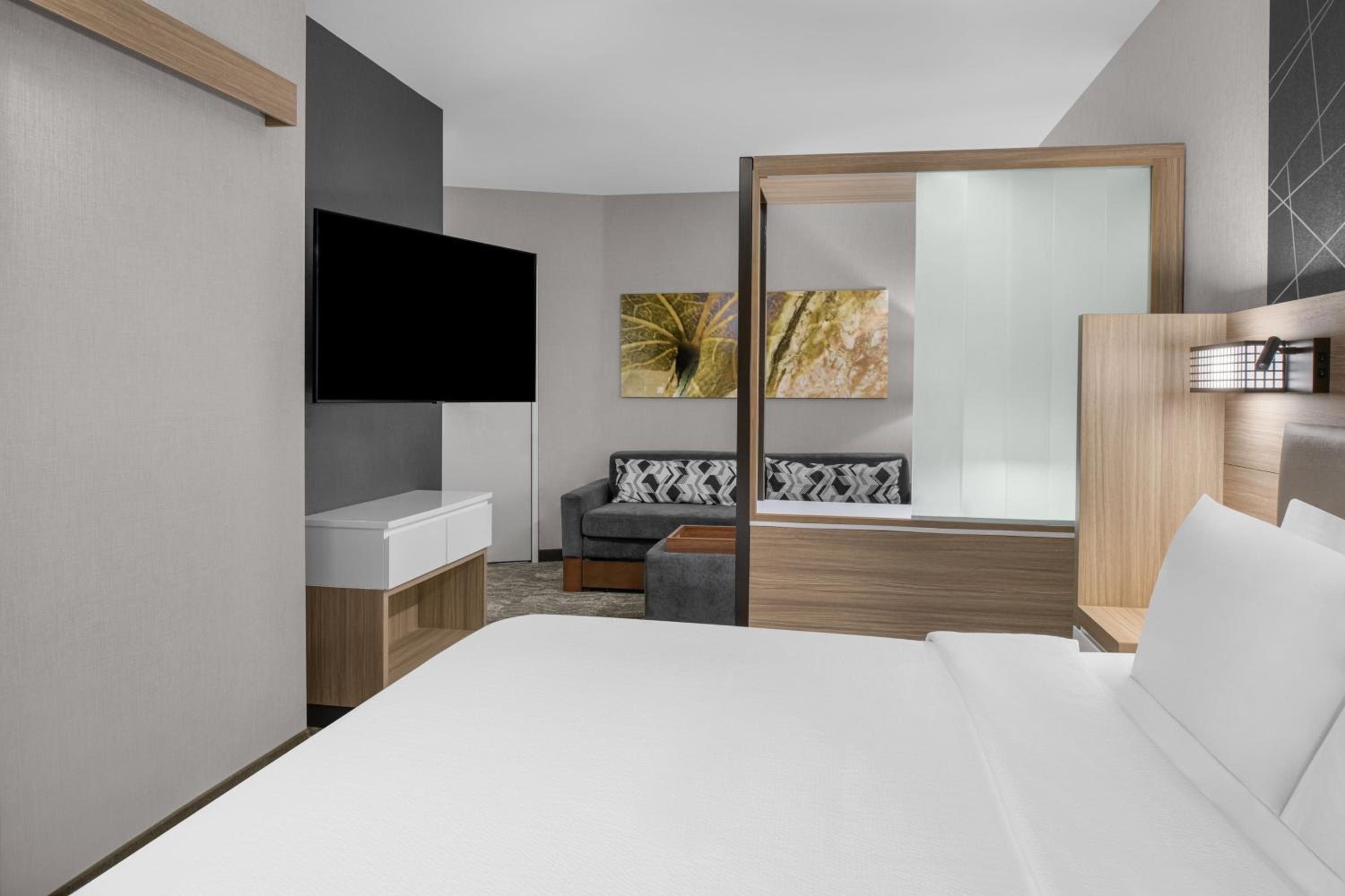 Suite, King Bed, Trundle Bed, Sofa, Accessible