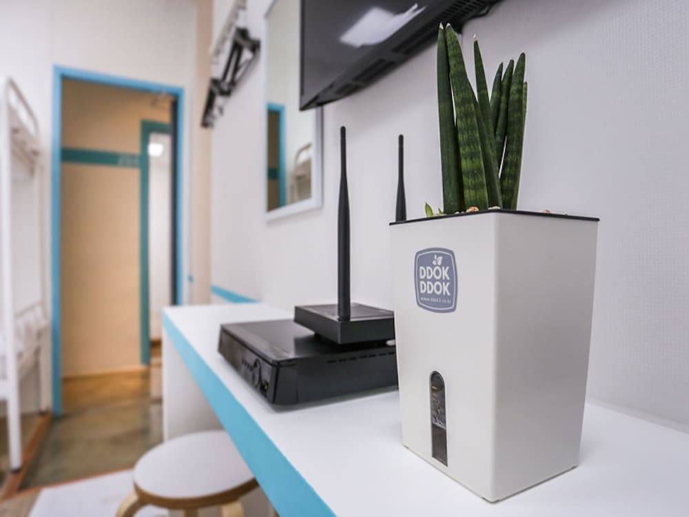 Star Hostel Dongdaemun Suite 8/34