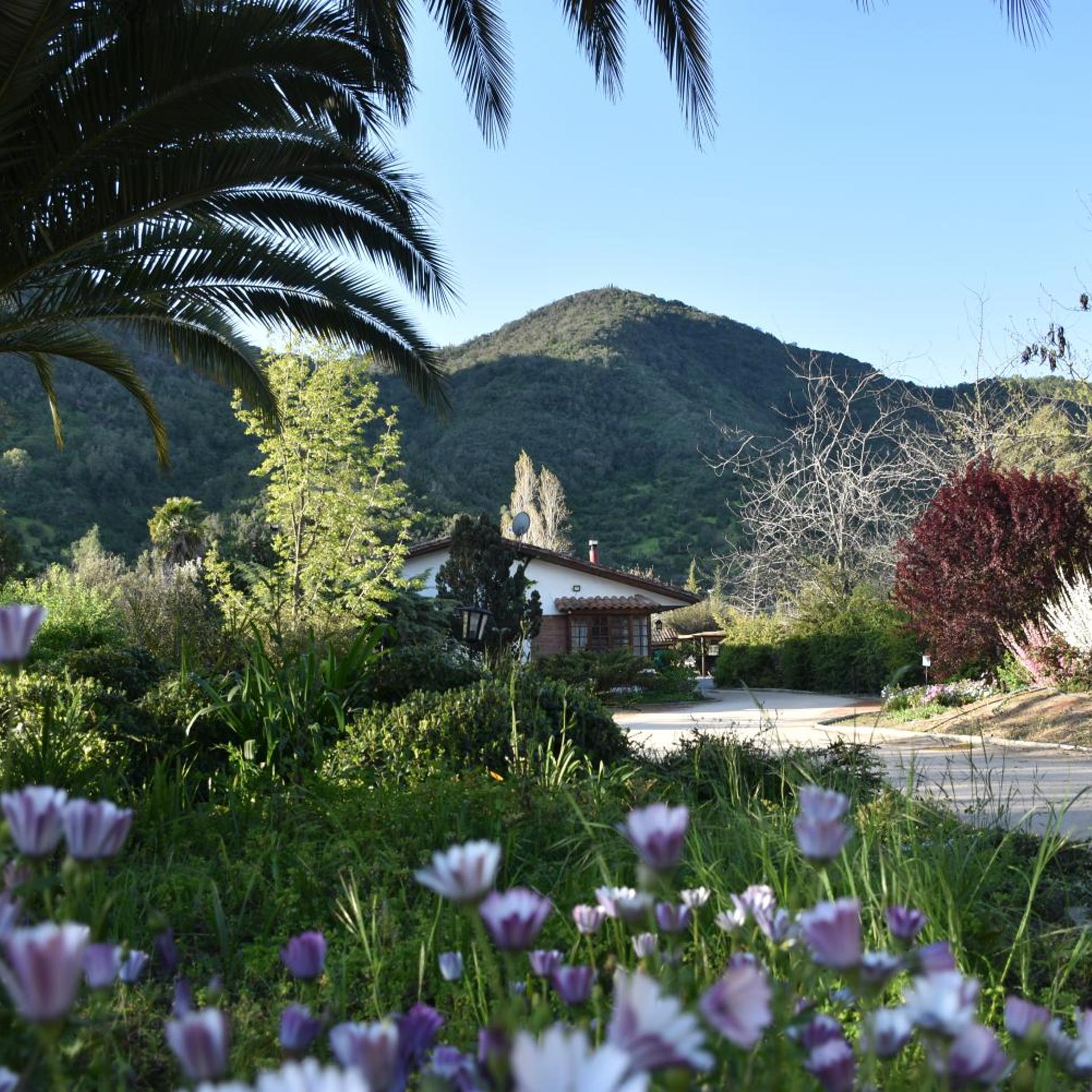 Hotel Boutique Solaz Bella Vista De Colchagua 30/50