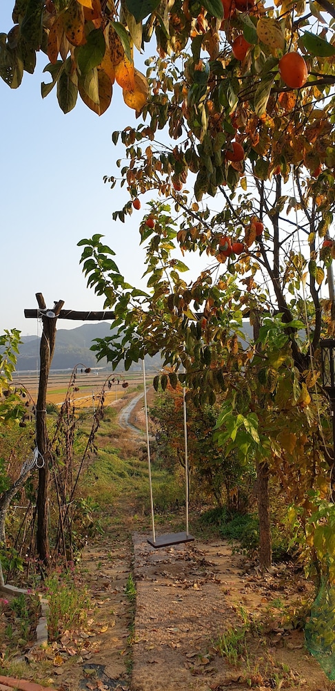 Andong River Sunset 39/50