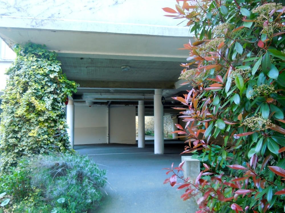 Ashley Hotel 50/50