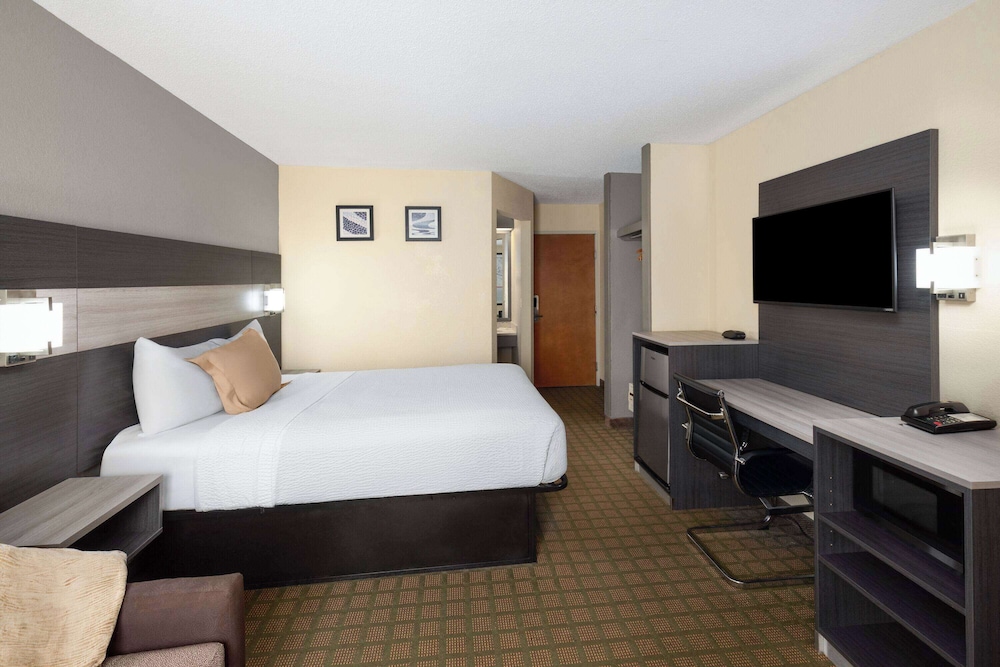 Suite, King Bed