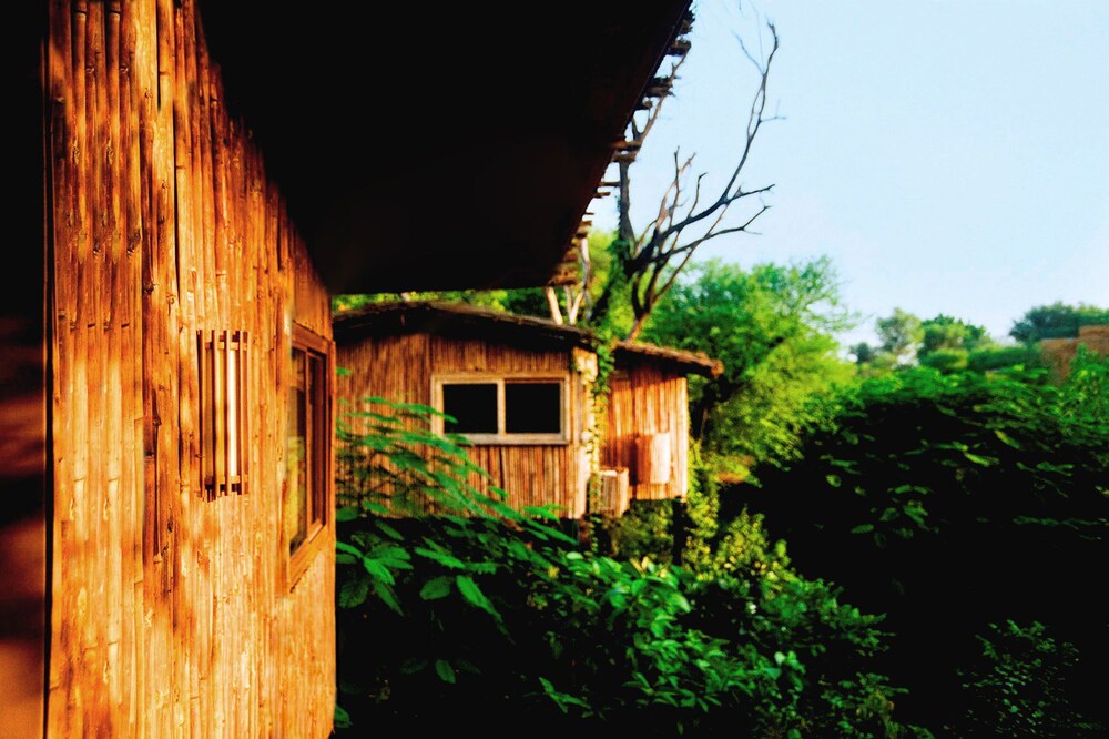 The Tree House Resort 32/35