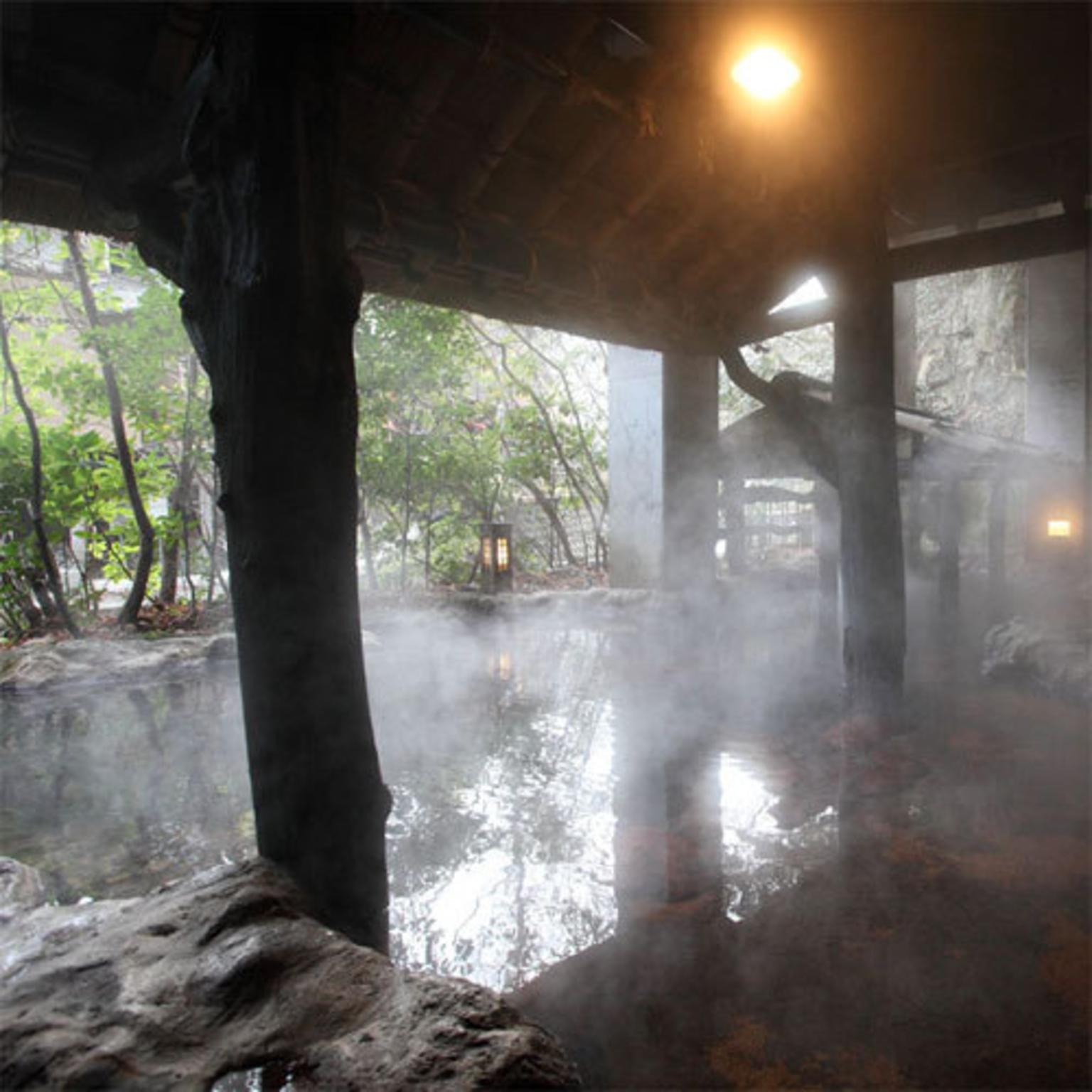 Kurokawa Onsen Yama no Yado Shinmeikan 26/46