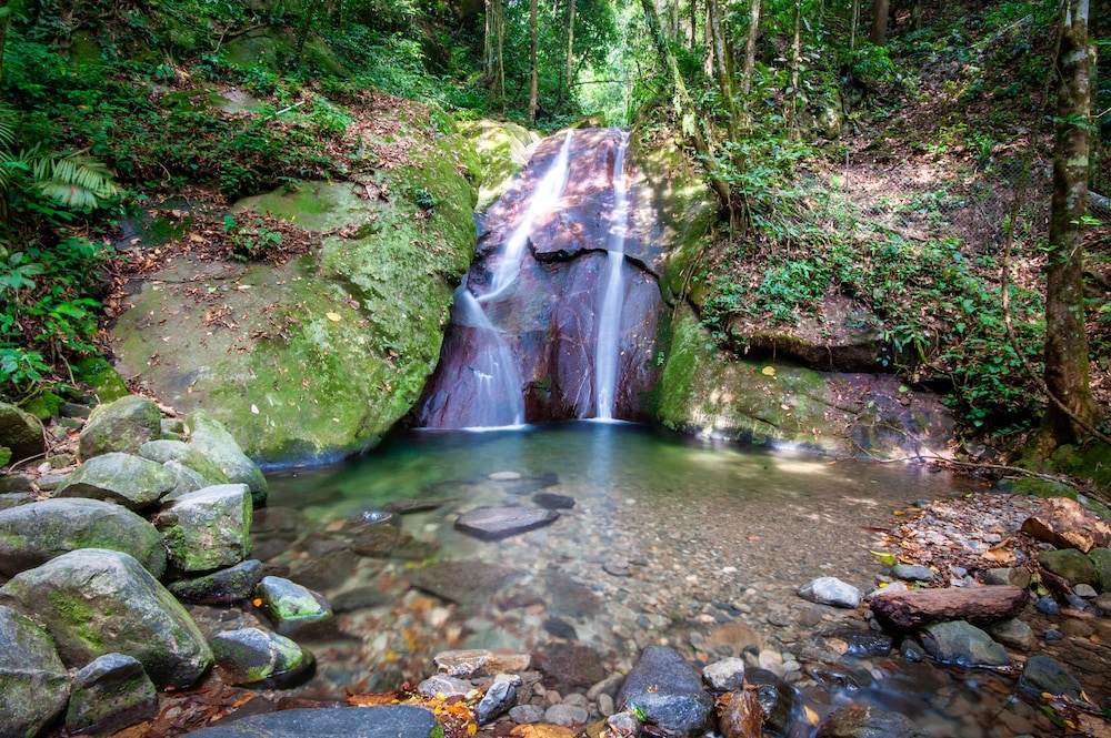 Sutera Sanctuary Lodges at Poring Hot Springs 37/72