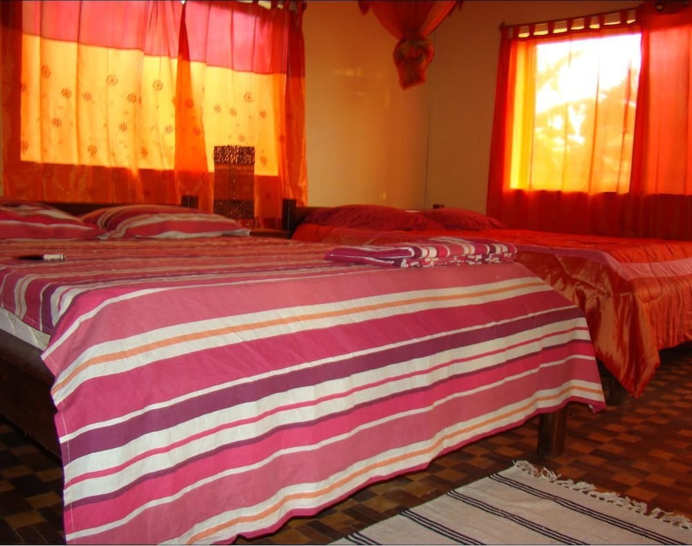 Reva Castel 19/50