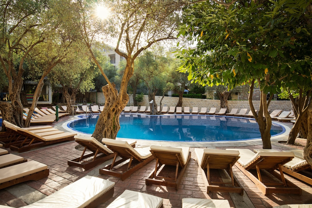 Vile Oliva Hotel 38/43
