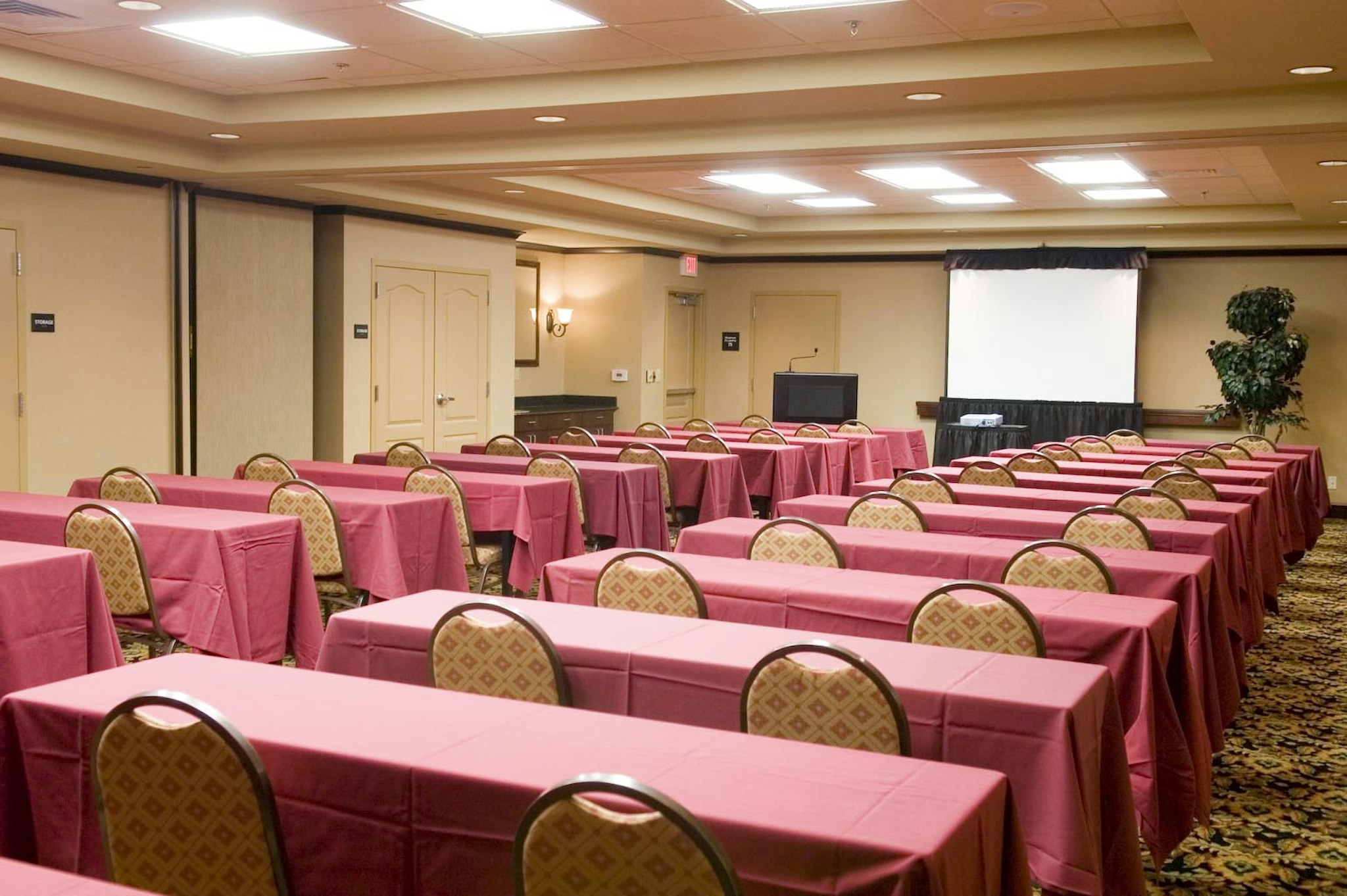 Hampton Inn & Suites Mobile Providence Park/Airport 46/56