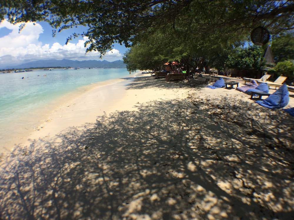 Coral Beach 2 Bungalow 39/50
