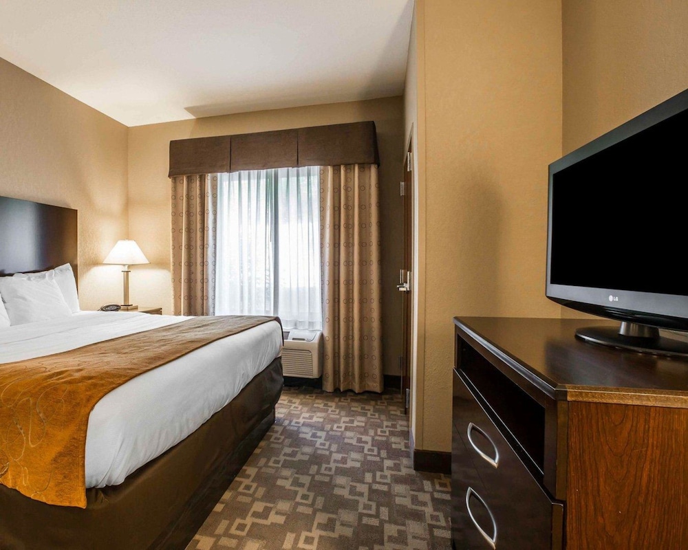 Comfort Suites Whitsett - Greensboro East Whitsett NC 13/41