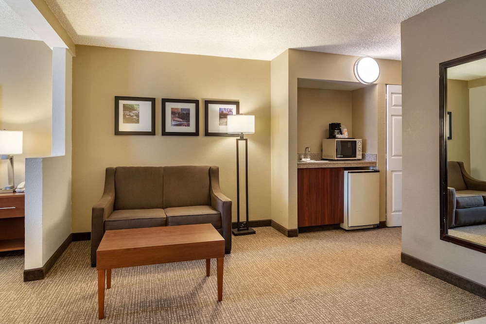 Comfort Inn Suites Suwanee Sugarloaf 22/36