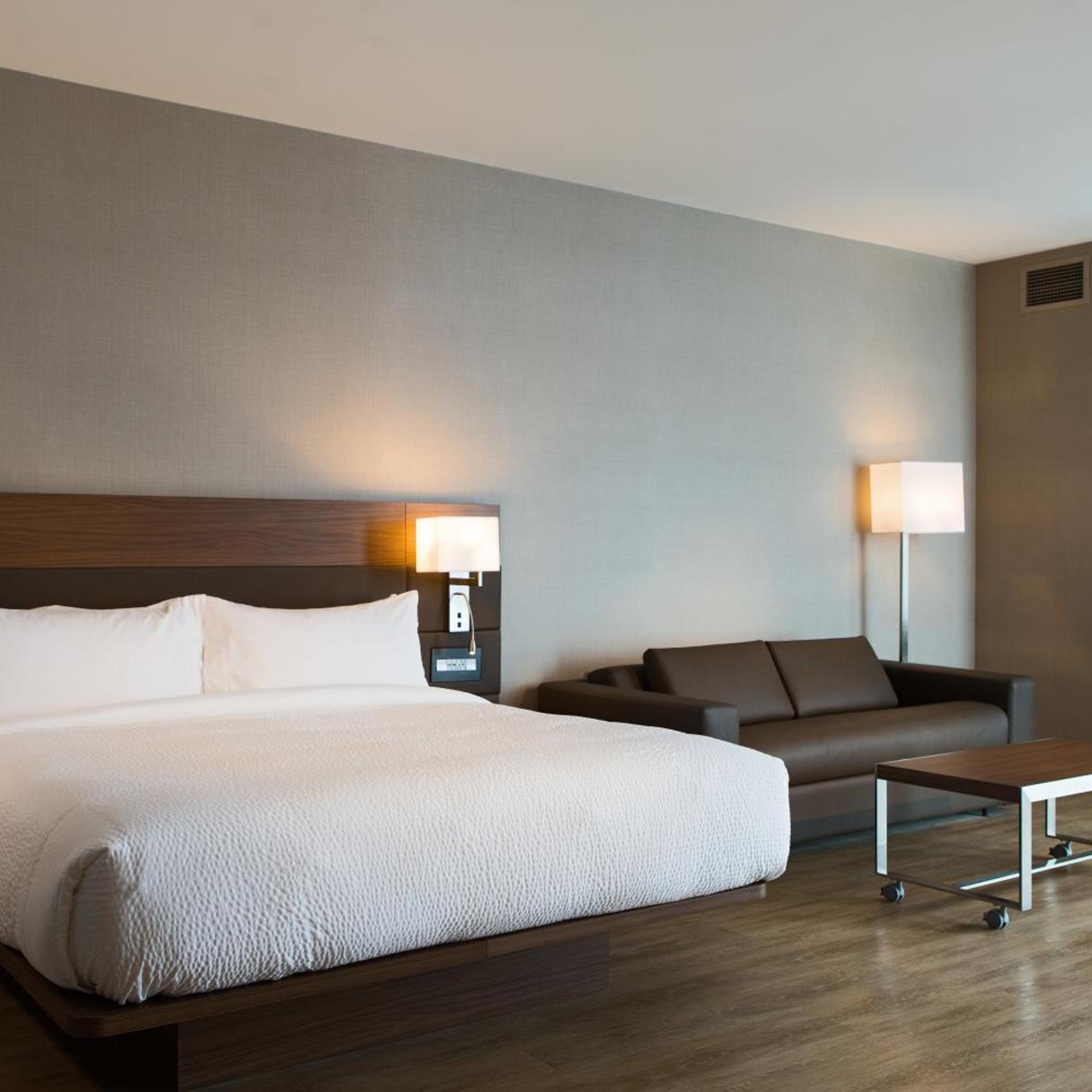 Suite, King Bed