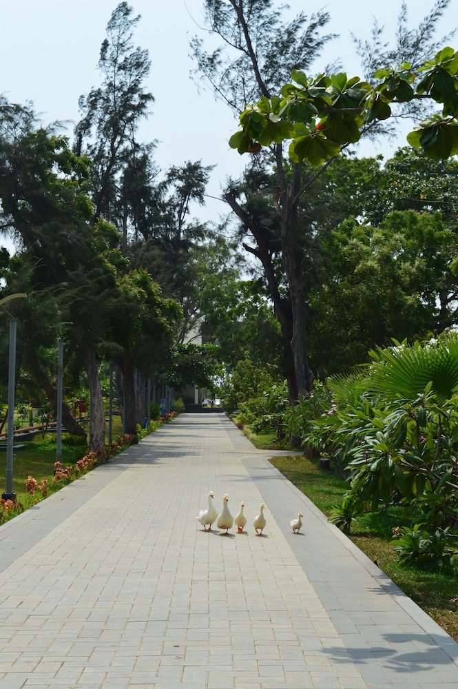 Welcomhotel by ITC Hotels, Kences Palm Beach 33/48
