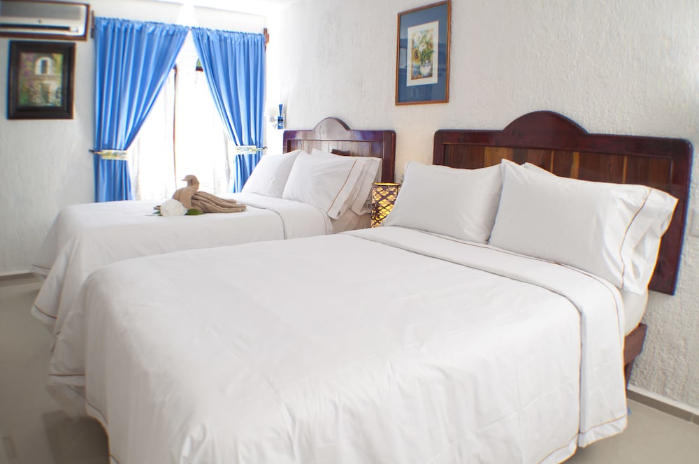 Eco Hotel El Rey del Caribe 15/50