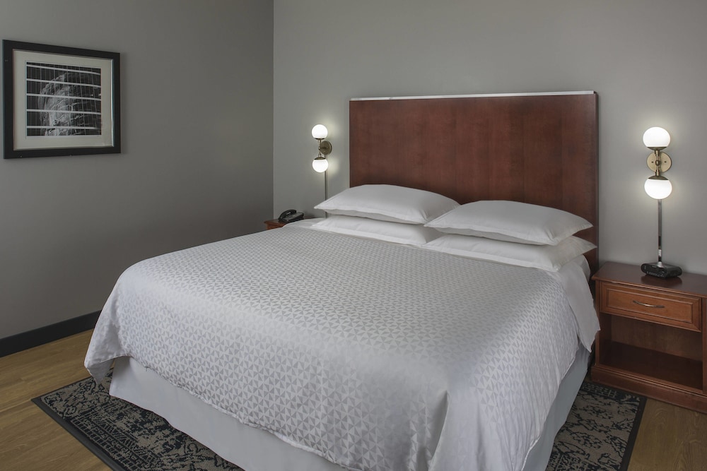Four Points by Sheraton Houston Hobby Airport 6/20