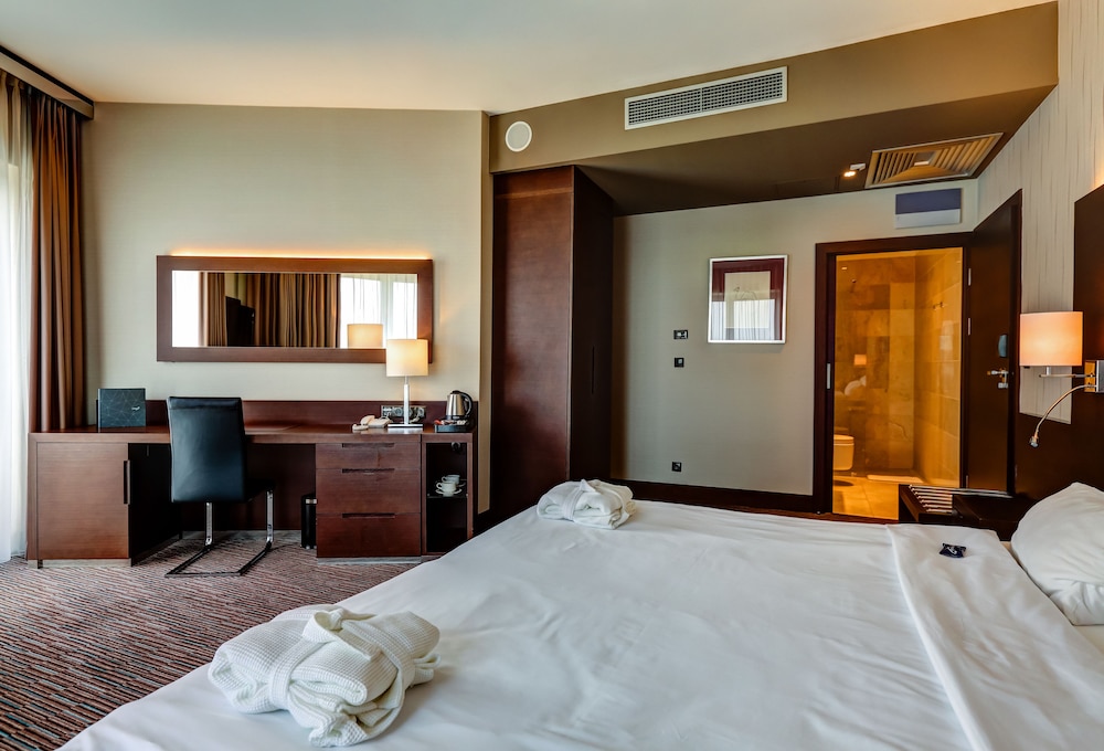Copernicus Torun Hotel 21/68