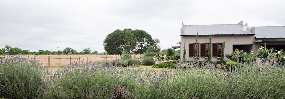 Ambers & Grace Guest Farm 3/50